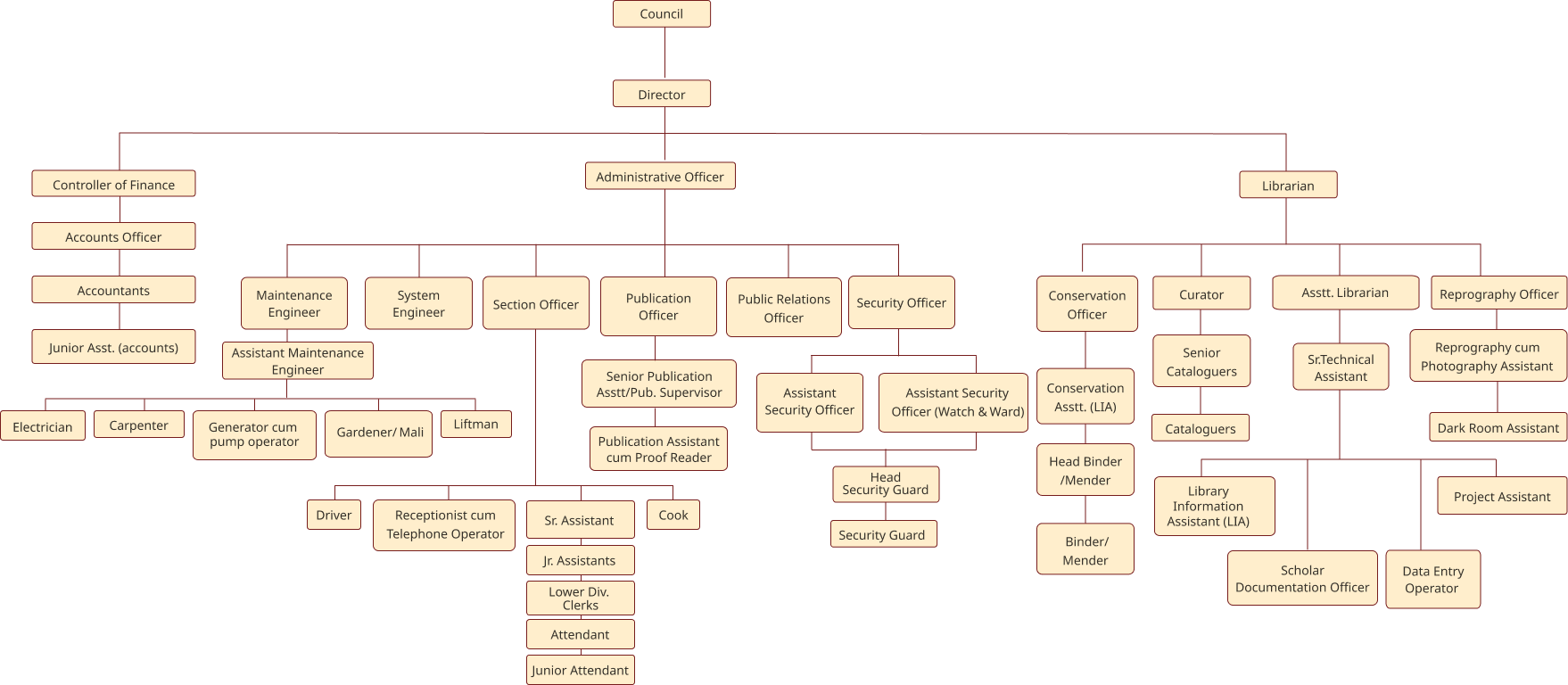 Organizational hierarchy chart showing complete staff structure from Council to entry-level positions